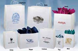 White Paper Shopping Bags